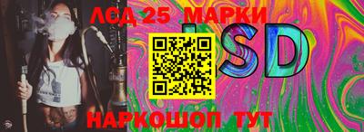 Альфа ПВП Владивосток