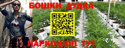 не бодяженный Владимир